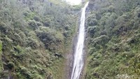 Air Terjun Sedudo memiliki ketinggian 105 meter. Air terjun ini berada di Daerah Ngliman, Kecamatan Sawahan, Jawa Timur. (Enggran/detikTravel)