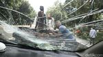 Pohon Tumbang Timpa Mobil di Jakarta