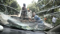 Petugas memotong batang pohon yang tumbang dan menimpa sebuah mobil.