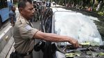 Pohon Tumbang Timpa Mobil di Jakarta
