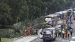 Pohon Tumbang Timpa Mobil di Jakarta