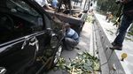 Pohon Tumbang Timpa Mobil di Jakarta