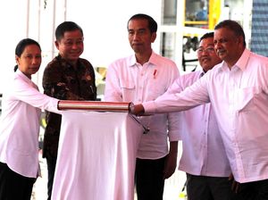 Ketua Hanura: Rini Gagal, Jokowi Harus Evaluasi Posisi Menteri BUMN