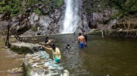 Harga tiket masuk ke tempat wisata ini terbilang murah, yakni dengan dibandrol harga Rp 5.500 di hari biasa dan Rp 10.500 ketika hari libur. Biaya itu sudah termasuk asuransi dati Jasa Raharja bila terjadi kecelakaan di dalam area wisata (Enggran Eko Budianto/detikTravel)