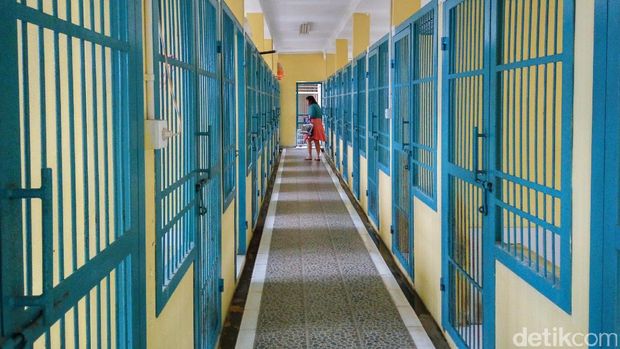 Bagian dalam penampungan anjing dan kucing