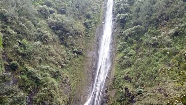Kesegaran di Nganjuk: Air Terjun Sedudo