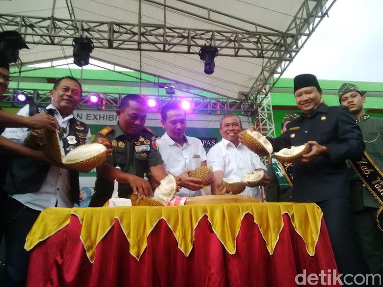 Festival Durian di Pasuruan Habiskan 48 Pikap Durian Kakap Festival Durian di Pasuruan Habiskan 48 Pikap Durian Kakap