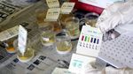 BNN Tes Urine Karyawan Perum PPD