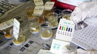 Petuga BNN memperlihatkan hasil tes urine karyawan perum PPD.