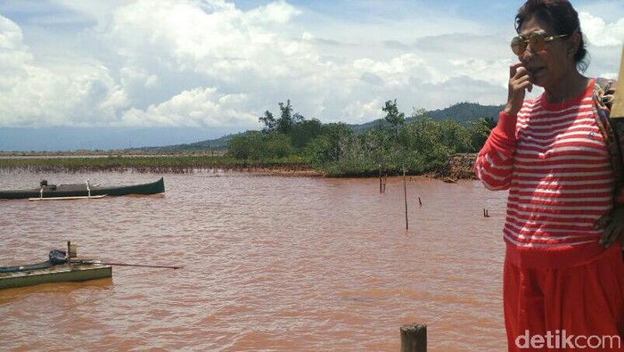 Sidak ke Kolaka, Susi Bakal Tegur Perusahaan Tambang yang Cemari Laut