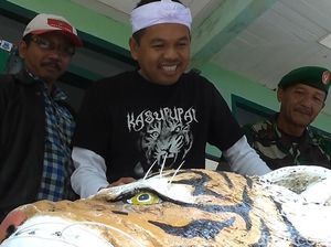 Partai Golkar Dukung Dedi Mulyadi Maju Pilgub Jabar 2018