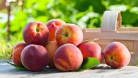 Buah persik menyimpan vitamin A dan C yang mana membuat kulit sehat saat cuaca terik menyerang, demikian seperti yang ditulis Men Fitness. Foto: iStock/The Asahi Shimbun