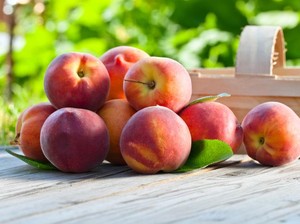 Logo Buah Peach Jadi Penanda Tempat Makanan Halal di Okayama