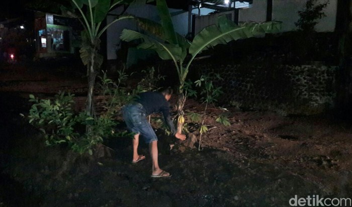 Warga Berkebun di Bahu Jalan yang Tak Kunjung Diperbaiki