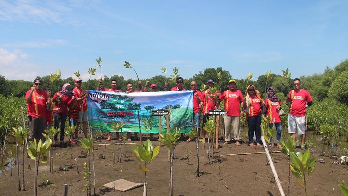 Komunitas TIC Hijaukan Indramayu