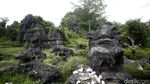 Risers Datsun Menyusuri Sungai dan Perbukitan