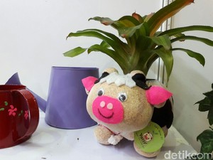Bikin Pot Berbentuk Boneka, Wanita Ini Raup Omzet Rp 60 Juta/Bulan