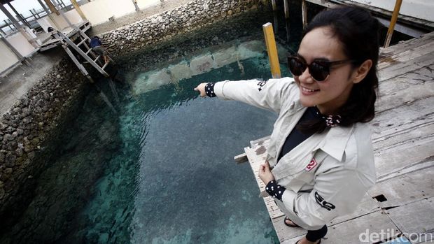 Sensasi Risers Berenang Bersama Penyu di Pulau Liukang Loe