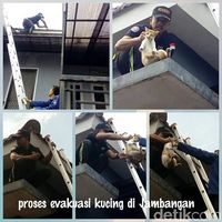 Bisa Kumpul Si Meong Lagi, Anggita: Terima Kasih Tim Command Center