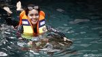 Melihat Penangkaran Penyu di Pantai Tanjung Bira