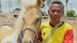 Serunya Pacuan Kuda di Belu, NTT