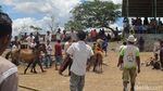Serunya Pacuan Kuda di Belu, NTT
