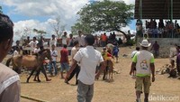 Pemenang tiap babak digiring ke belakang tribun. Para pemenang ini akan berlomba di final keesokan harinya (Sastri/ detikTravel)