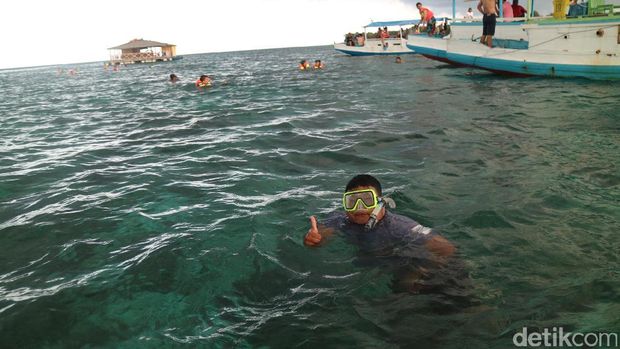 Sensasi Risers Berenang Bersama Penyu di Pulau Liukang Loe