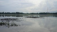 Danau ini terletak di Kampung Tanjung Garut, Desa Cijunti, Kecamatan Campaka, Kabupaten Purwakarta. Ia berbatasan dengan Desa Bale Bandung Jaya, Kecamatan Pabuaran, Kabupaten Subang (Mukhlis/detikTravel)