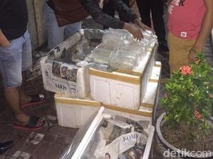Sudah Diawasi, Kenapa Masih Ada Penyelundupan Benih Lobster?