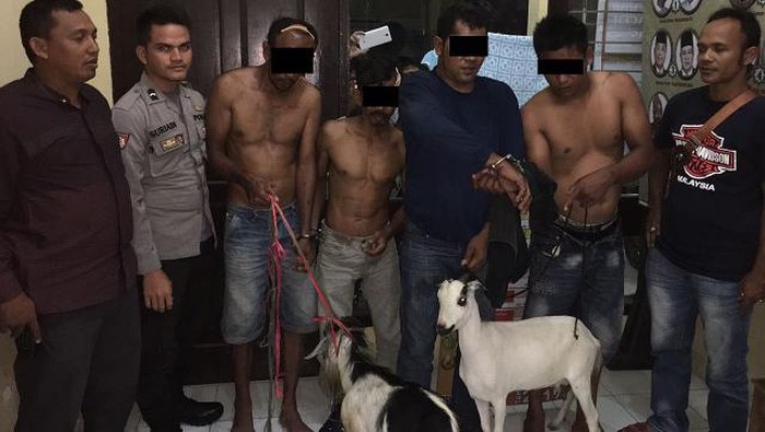 4 Pencuri Kambing Babak Belur Dihajar Warga