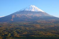 Hutan Aokigahara