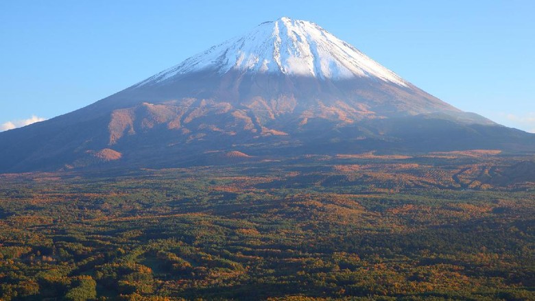 Hutan Aokigahara di kaki Gunung Fuji (Thinkstock) Hutan Aokigahara di kaki Gunung Fuji (Thinkstock)