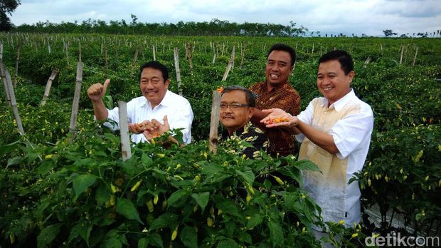 Dirjen Hortikultura di Kediri