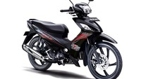 Suzuki berekspektasi model ini dapat dijadikan kendaraan operasional dalam skala besar di berbagai Perusahaan baik negeri maupun swasta.