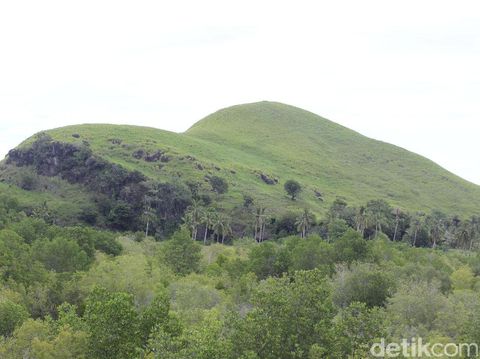 Cerita Baba Kong 'Ciptakan' Hutan Mangrove, Sempat Dicibir Warga