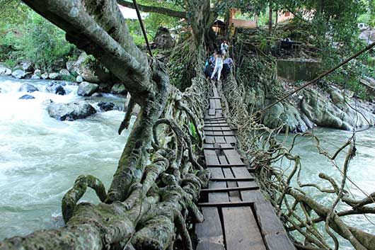 Jembatan akar Painan di Sumbar
