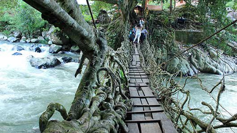 Jembatan akar Painan di Sumbar