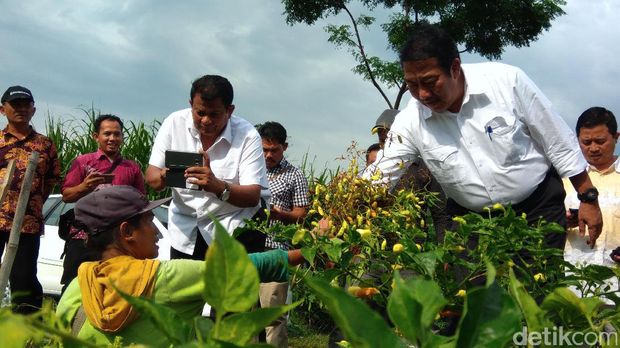 Dirjen Hortikultura Kementan di Kediri