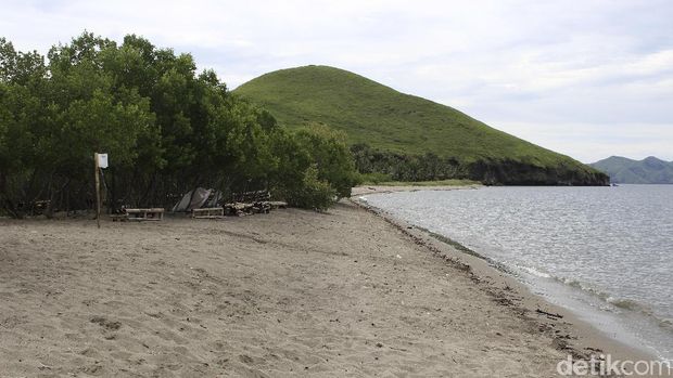 Hutan Mangrove Magepanda, Sikka, Nusa Tenggara Timur