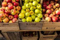Sebelum Dimakan, Buah Apel Biasanya Disimpan Selama 10 Bulan