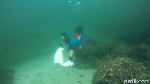 Liburan di Raja Ampat Serasa Pantai Pribadi, Sapokren Tempatnya