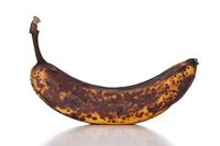 Amankah Makan Pisang yang Kulitnya Sudah Berbintik Cokelat?