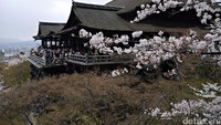Kiyomizudera termasuk salah satu kuil paling populer di Kyoto, Jepang. Traveler dari berbagai negara tak jarang beramai-ramai mengunjunginya. Kuil tersebut berada di atas bukit di kawasan Higashiyama (Kurnia/detikTravel)