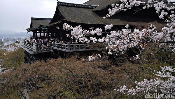 Kiyomizudera termasuk salah satu kuil paling populer di Kyoto, Jepang. Traveler dari berbagai negara tak jarang beramai-ramai mengunjunginya. Kuil tersebut berada di atas bukit di kawasan Higashiyama (Kurnia/detikTravel) Kiyomizudera termasuk salah satu kuil paling populer di Kyoto, Jepang. Traveler dari berbagai negara tak jarang beramai-ramai mengunjunginya. Kuil tersebut berada di atas bukit di kawasan Higashiyama (Kurnia/detikTravel)