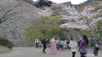 Banyak traveler yang senang berfoto di berbagai sisi kuil. Ada pula yang berkunjung dengan mengenakan pakaian tradisional Jepang, kimono. Tersedia persewaannya di dekat kuil ini (Kurnia/detikTravel)