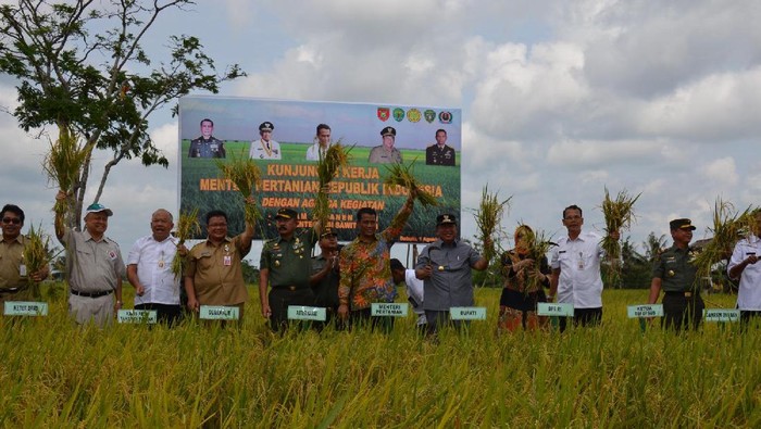 Pemerintah Yakin Kaltim Swasembada Beras 2018
