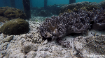 Liburan di Raja Ampat Serasa Pantai Pribadi, Sapokren Tempatnya