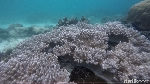 Liburan di Raja Ampat Serasa Pantai Pribadi, Sapokren Tempatnya