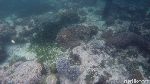 Liburan di Raja Ampat Serasa Pantai Pribadi, Sapokren Tempatnya
